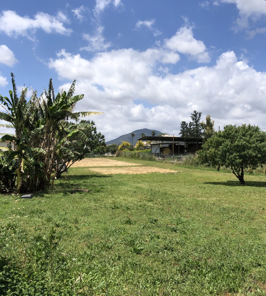 Beautiful wonderful world